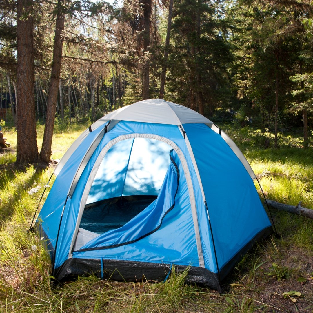 Blue tent amongst trees